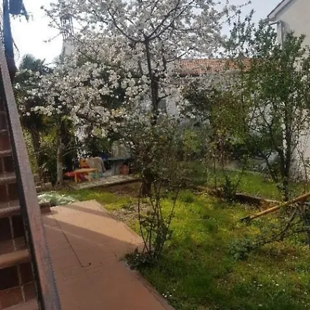 Roza Apartament